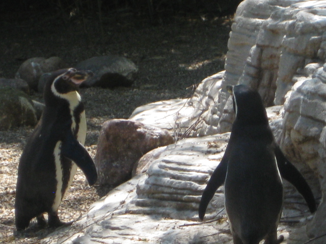 Tierpark Hagenbeck