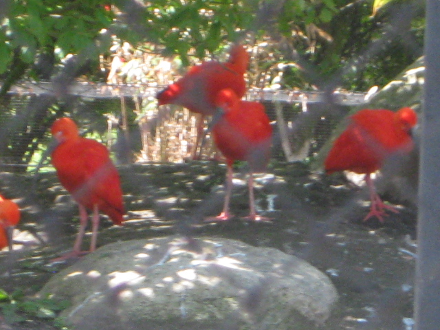 Tierpark Hagenbeck