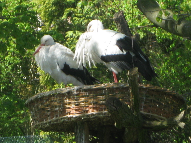 Tierpark Hagenbeck