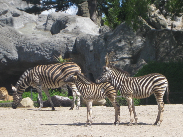 Tierpark Hagenbeck