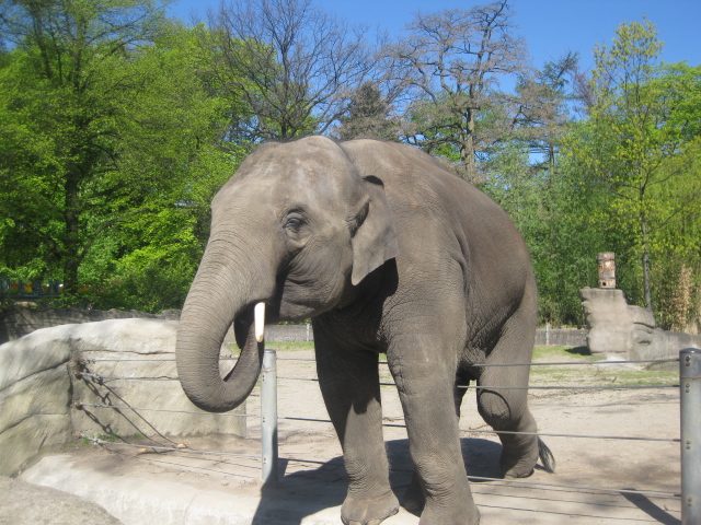 Tierpark Hagenbeck