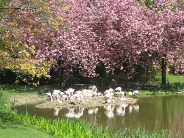 Tierpark Hagenbeck