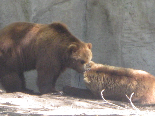 Tierpark Hagenbeck