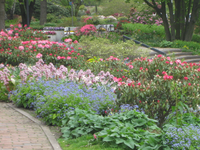 Planten un Blomen