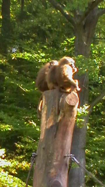 Tierpark Nürnberg