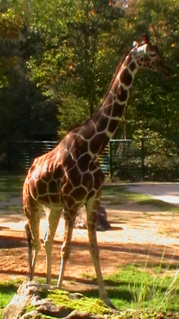 Tierpark Nürnberg