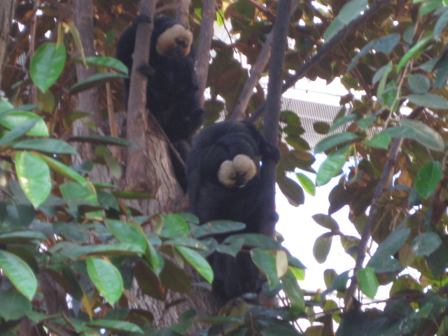 Tierpark Nürnberg