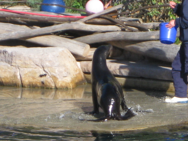 Tierpark Nürnberg