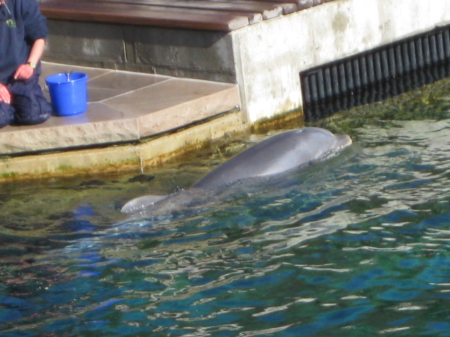 Tierpark Nürnberg