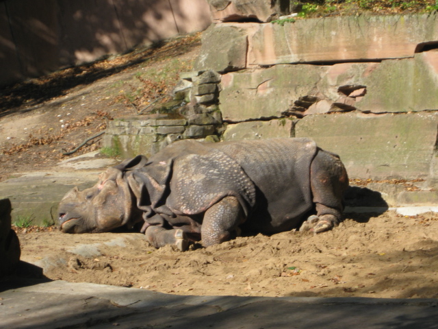 Tierpark Nürnberg