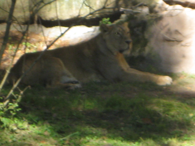 Tierpark Nürnberg