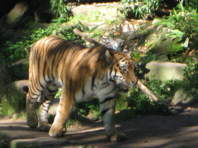 Tierpark Nürnberg