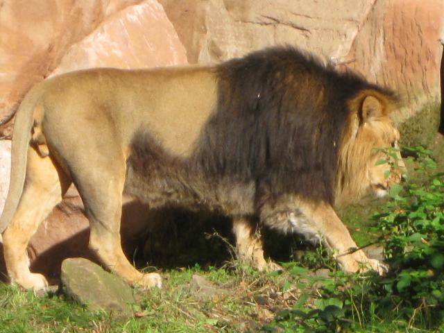 Tierpark Nürnberg