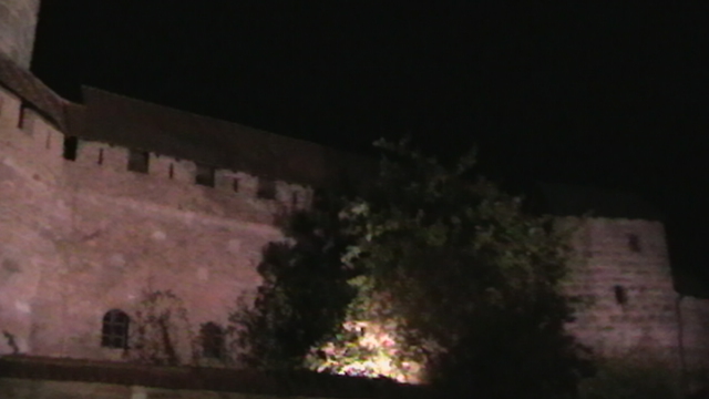 Burg bei Nacht