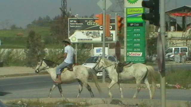 Reiter im Kreisverkehr