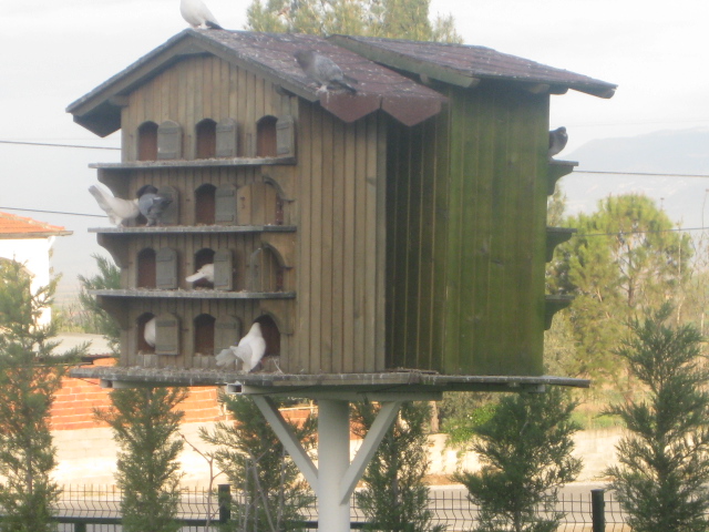 Vogelhaus